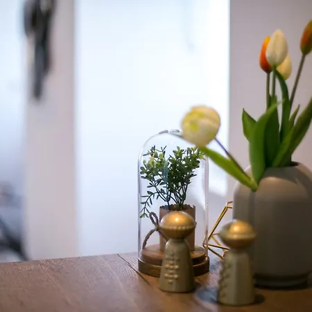 Del Molo Appartement